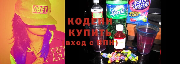 индика Киреевск