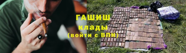 индика Киреевск