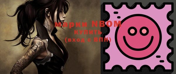 индика Киреевск