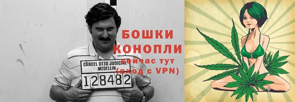 индика Киреевск
