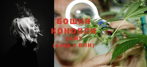 индика Киреевск