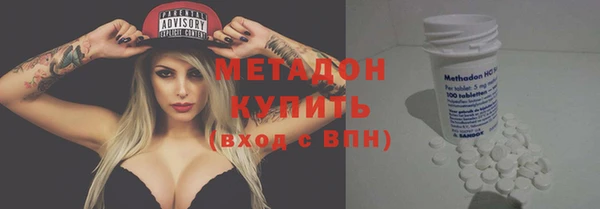 индика Киреевск