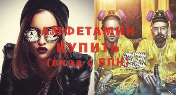 индика Киреевск