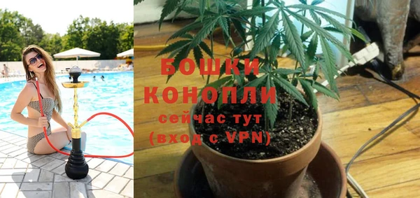 ALPHA-PVP Кинешма