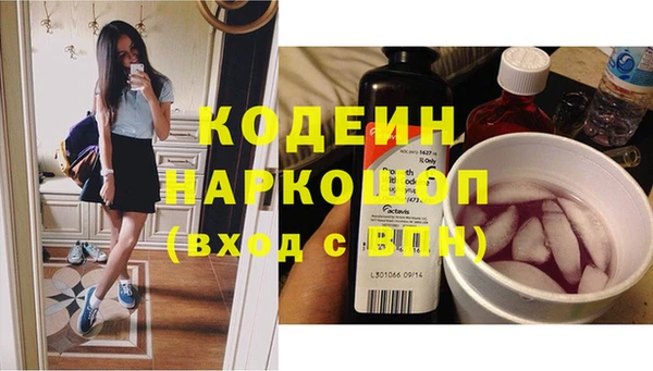 индика Киреевск
