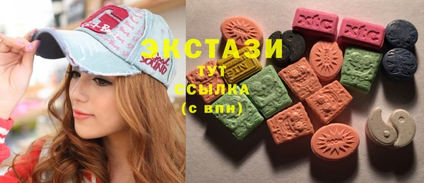 индика Киреевск