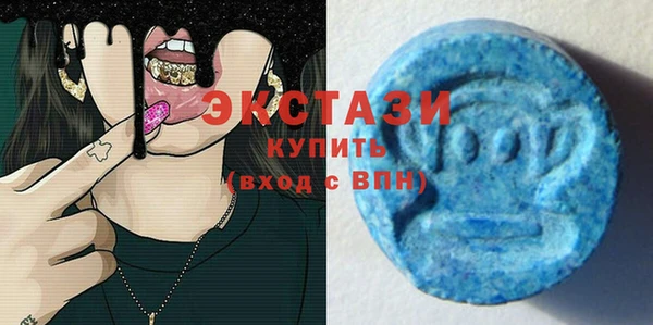 индика Киреевск