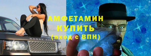 индика Киреевск
