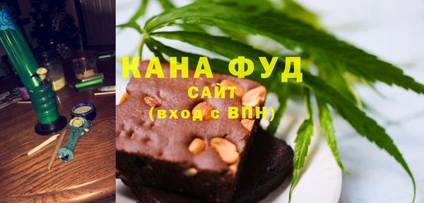 индика Киреевск