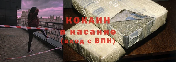 индика Киреевск