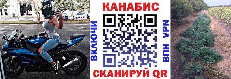Купить где  Иннополис  Бошки марихуана планчик 